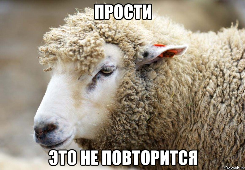 ПРОСТИ ЭТО НЕ ПОВТОРИТСЯ
