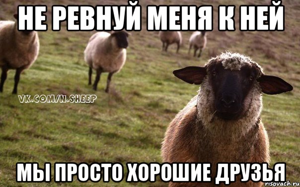 Не ревнуй меня к ней Мы просто хорошие друзья, Мем  Наивная Овца