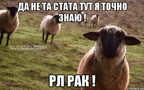 Да не та стата тут я точно знаю ! Рл рак !, Мем  Наивная Овца