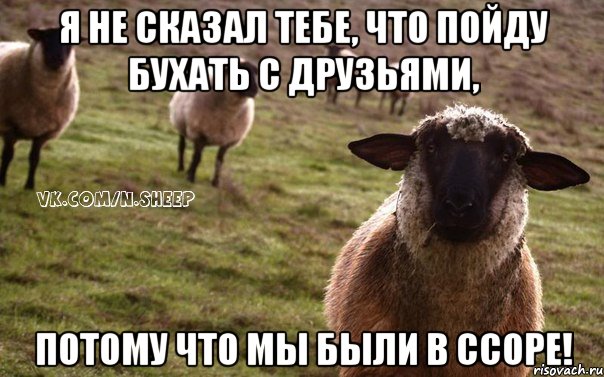я не сказал тебе, что пойду бухать с друзьями, потому что мы были В ССОРЕ!, Мем  Наивная Овца