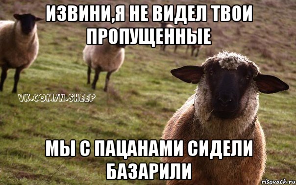 Извини,я не видел твои пропущенные мы с пацанами сидели базарили, Мем  Наивная Овца