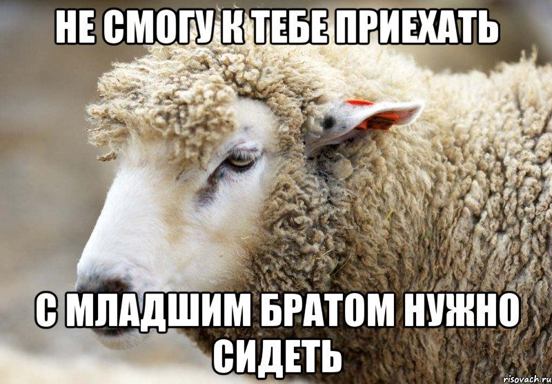 Не смогу к тебе приехать С младшим братом нужно сидеть