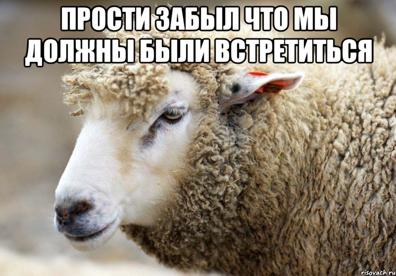 Прости забыл что мы должны были встретиться 