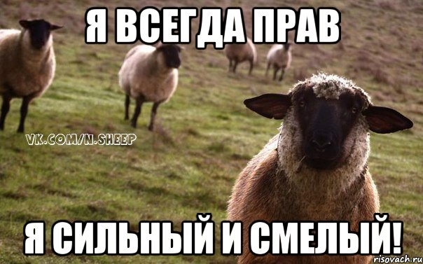 Я всегда прав Я сильный и смелый!, Мем  Наивная Овца