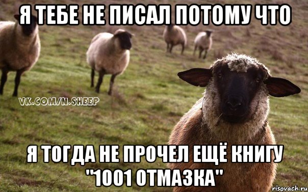 Я тебе не писал потому что Я тогда не прочел ещё книгу "1001 отмазка", Мем  Наивная Овца