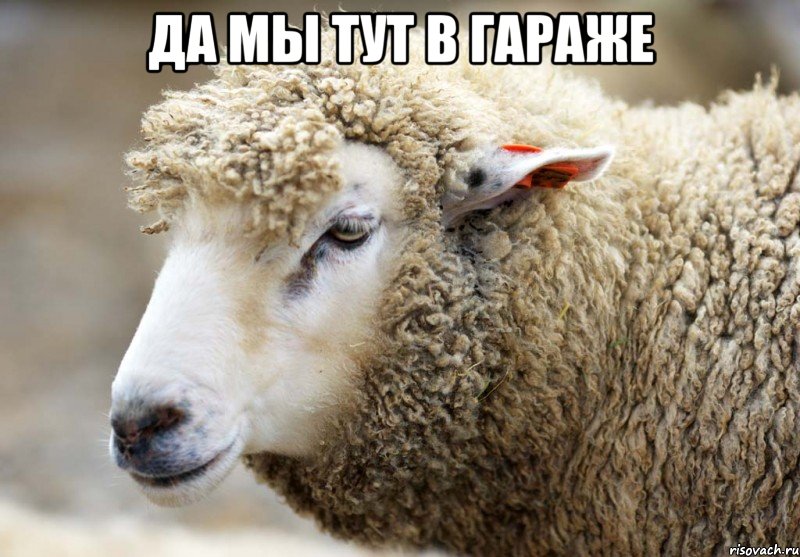 да мы тут в гараже 