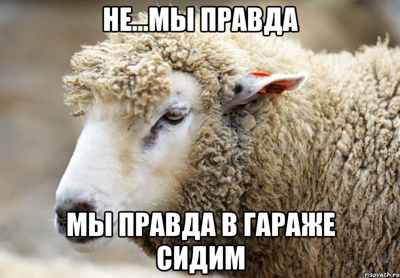 не...мы правда мы правда в гараже сидим