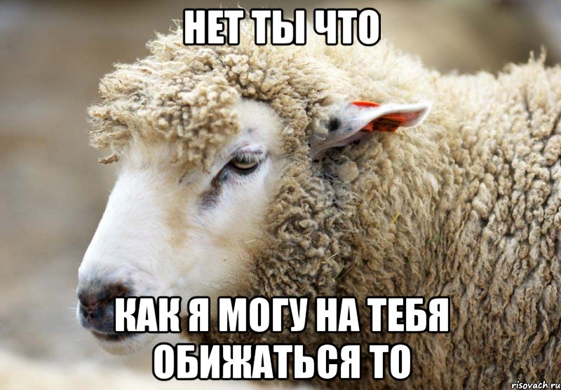 нет ты что как я могу на тебя обижаться то