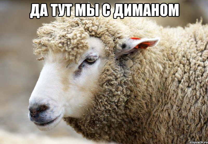 да тут мы с Диманом 