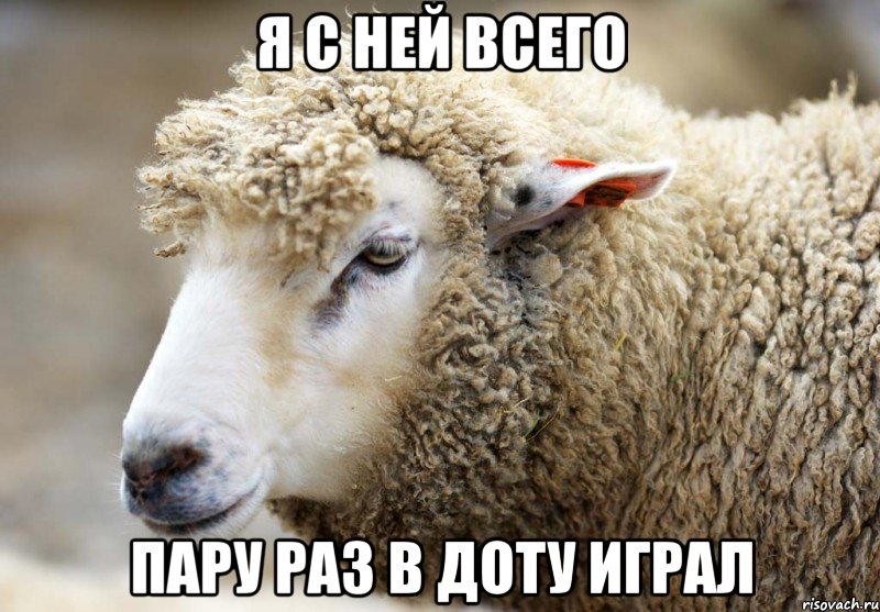 я с ней всего пару раз в доту играл