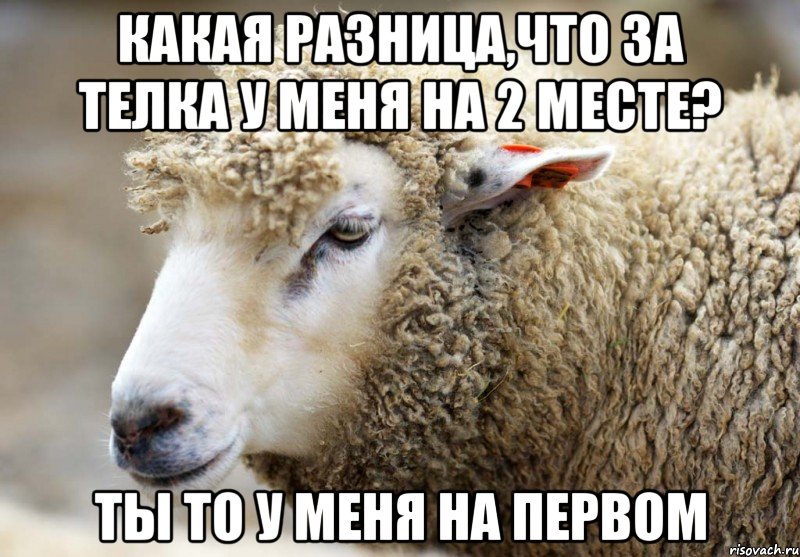 какая разница,что за телка у меня на 2 месте? Ты то у меня на первом
