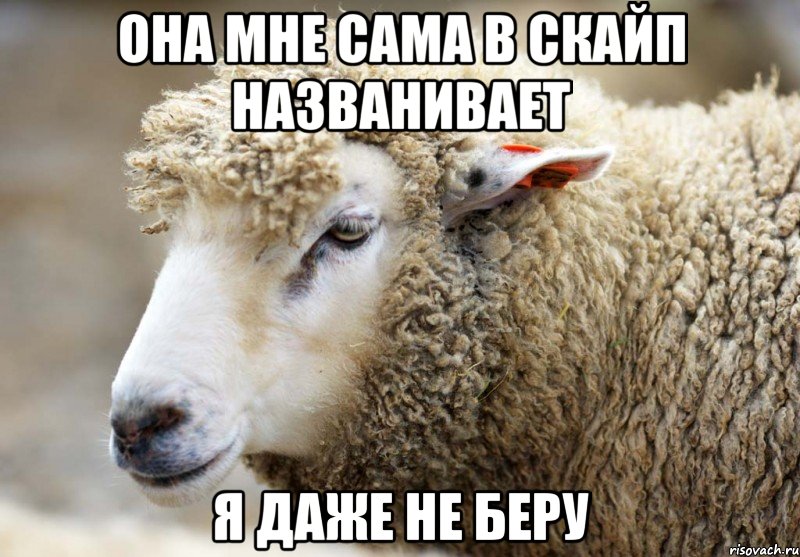 Она мне сама в скайп названивает я даже не беру