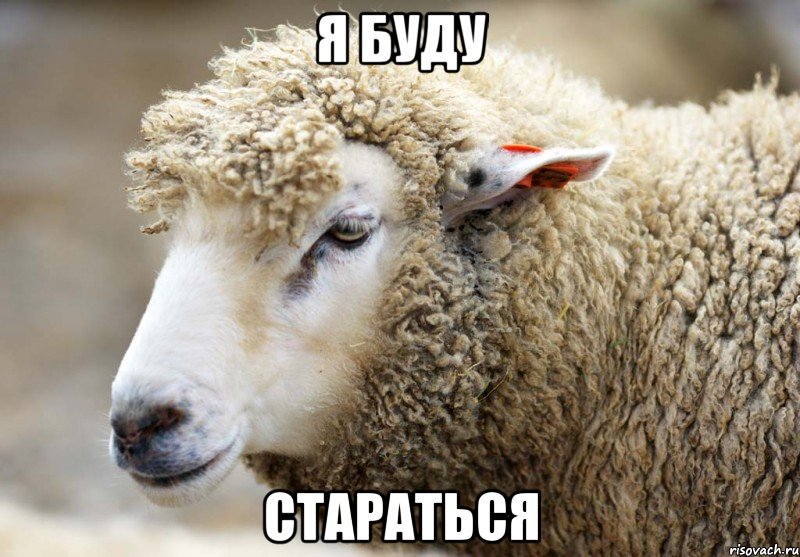 Я буду стараться