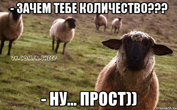 - зачем тебе количество??? - ну... прост)), Мем  Наивная Овца