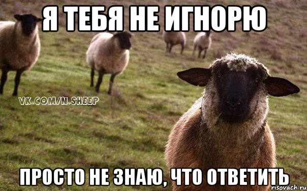 я тебя не игнорю просто не знаю, что ответить, Мем  Наивная Овца