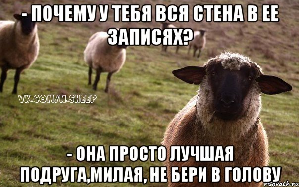 - почему у тебя вся стена в ее записях? - она просто лучшая подруга,милая, не бери в голову, Мем  Наивная Овца