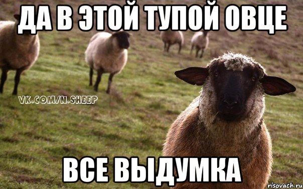 да в этой тупой овце все выдумка, Мем  Наивная Овца