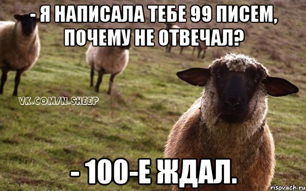 - я написала тебе 99 писем, почему не отвечал? - 100-е ждал., Мем  Наивная Овца