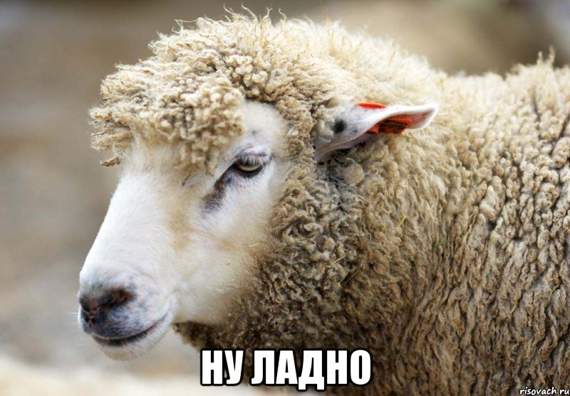  ну ладно
