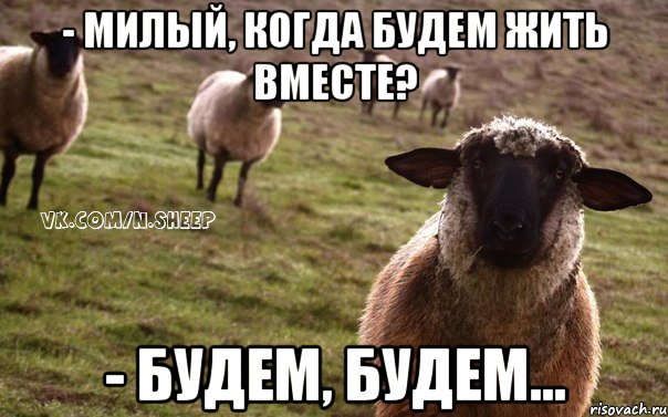 - милый, когда будем жить вместе? - будем, будем..., Мем  Наивная Овца