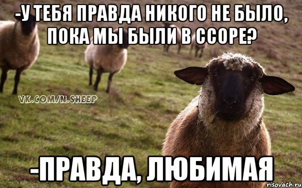 -у тебя правда никого не было, пока мы были в ссоре? -правда, любимая, Мем  Наивная Овца