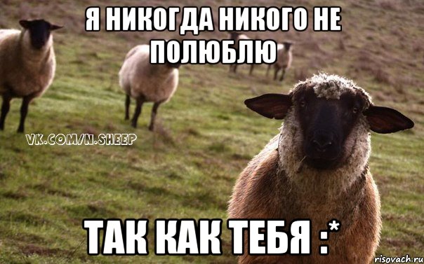 Я никогда никого не полюблю Так как тебя :*, Мем  Наивная Овца