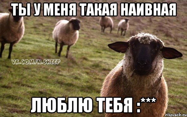 ты у меня такая наивная люблю тебя :***, Мем  Наивная Овца