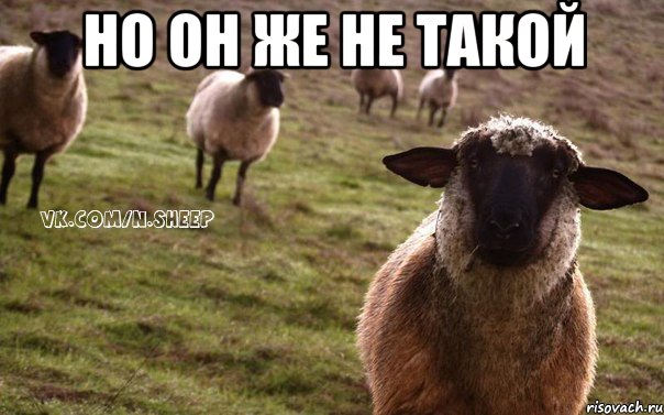 Но он же не такой , Мем  Наивная Овца