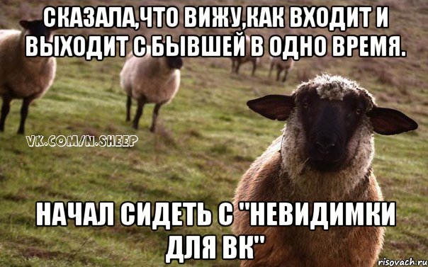 сказала,что вижу,как входит и выходит с бывшей в одно время. начал сидеть с "невидимки для вк", Мем  Наивная Овца