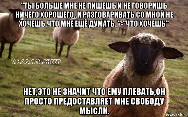 "ты больше мне не пишешь и не говоришь ничего хорошего..и разговаривать со мной не хочешь.что мне ещё думать.."-"что хочешь" нет,это не значит что ему плевать,он просто предоставляет мне свободу мысли., Мем  Наивная Овца