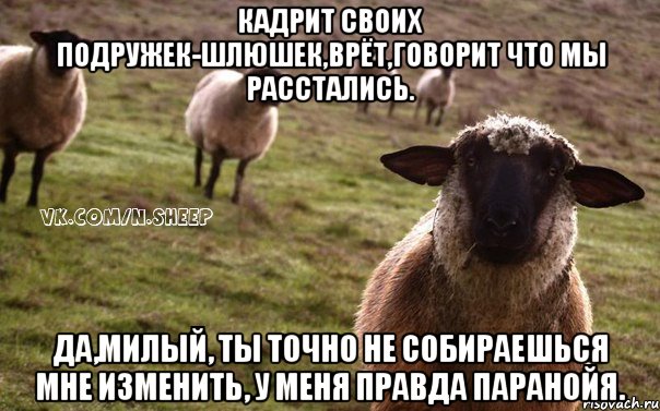 кадрит своих подружек-шлюшек,врёт,говорит что мы расстались. да,милый, ты точно не собираешься мне изменить, у меня правда паранойя., Мем  Наивная Овца