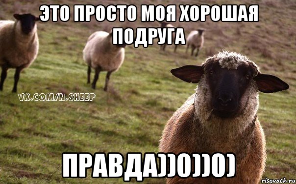 Это просто моя хорошая подруга Правда))0))0), Мем  Наивная Овца