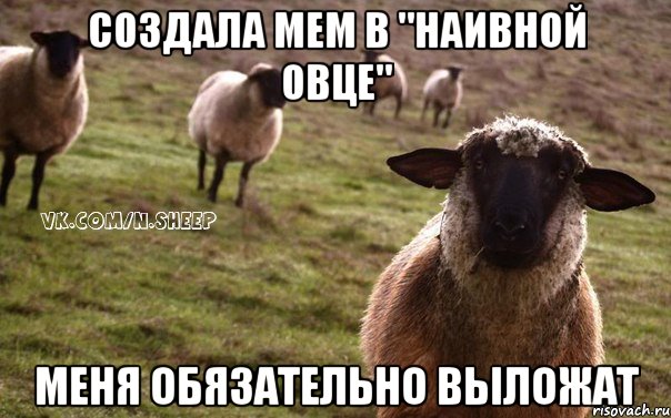 Создала мем в "наивной овце" Меня обязательно выложат, Мем  Наивная Овца