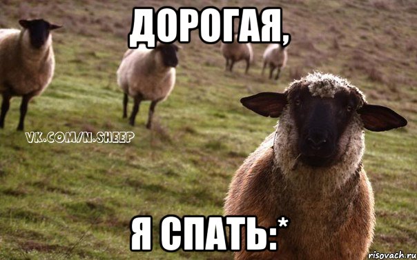 Дорогая, я спать:*, Мем  Наивная Овца