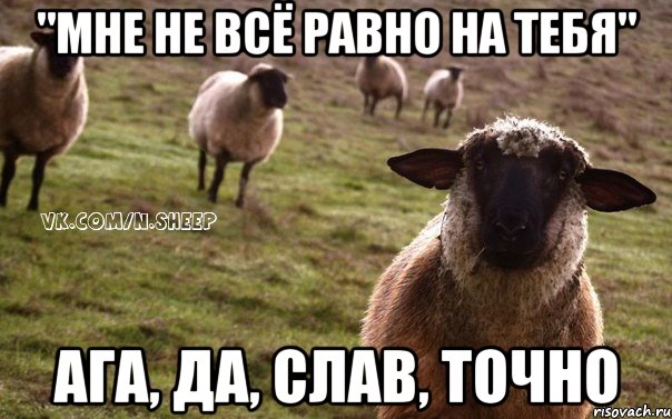 "мне не всё равно на тебя" ага, да, Слав, точно, Мем  Наивная Овца