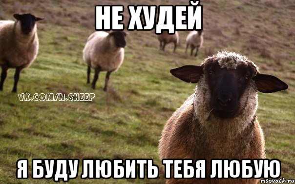 Не худей Я БУДУ ЛЮБИТЬ ТЕБЯ ЛЮБУЮ, Мем  Наивная Овца
