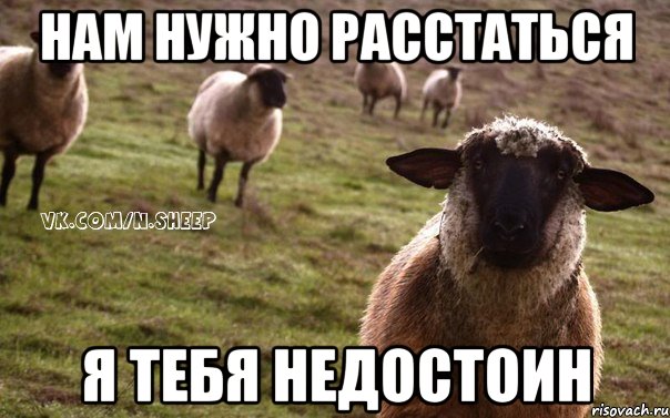 Нам нужно расстаться Я тебя недостоин, Мем  Наивная Овца