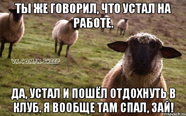 ты же говорил, что устал на работе. да, устал и пошёл отдохнуть в клуб. я вообще там спал, зай!, Мем  Наивная Овца