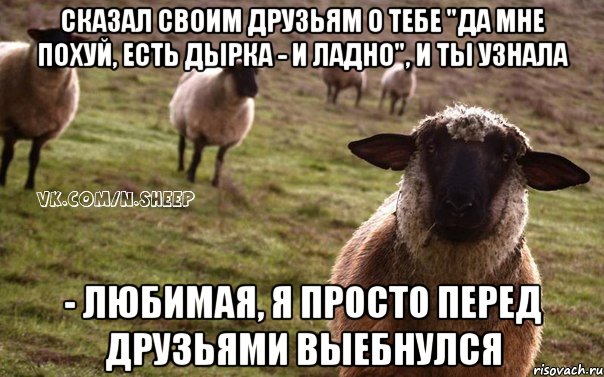 сказал своим друзьям о тебе "да мне похуй, есть дырка - и ладно", и ты узнала - любимая, я просто перед друзьями выебнулся, Мем  Наивная Овца