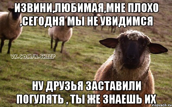 Извини,любимая,мне плохо ,сегодня мы не увидимся Ну друзья заставили погулять , ты же знаешь их, Мем  Наивная Овца