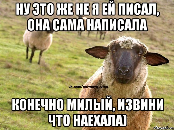 Ну это же не я ей писал, она сама написала конечно милый, извини что наехала), Мем  Наивная Овца