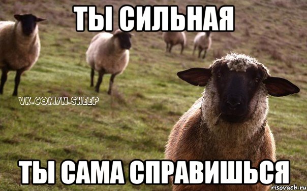 ты сильная ты сама справишься