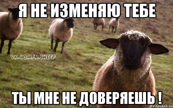 Я не изменяю тебе Ты мне не доверяешь !, Мем  Наивная Овца