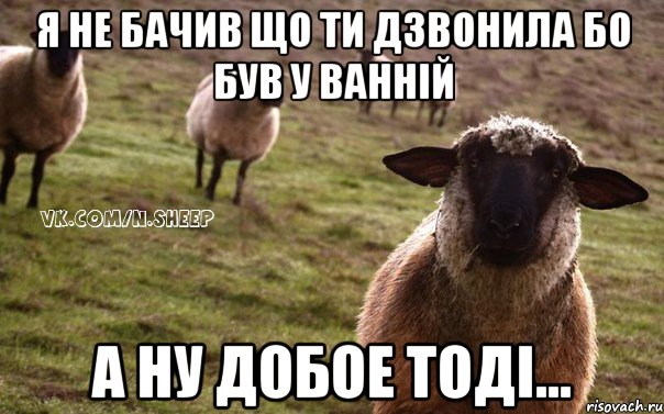 Я не бачив що ти дзвонила бо був у ванній А ну добое тоді..., Мем  Наивная Овца