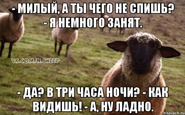 - Милый, а ты чего не спишь? - Я немного занят. - Да? В три часа ночи? - Как видишь! - А, ну ладно., Мем  Наивная Овца