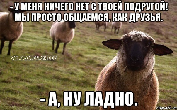 - У меня ничего нет с твоей подругой! Мы просто общаемся, как друзья. - А, ну ладно., Мем  Наивная Овца