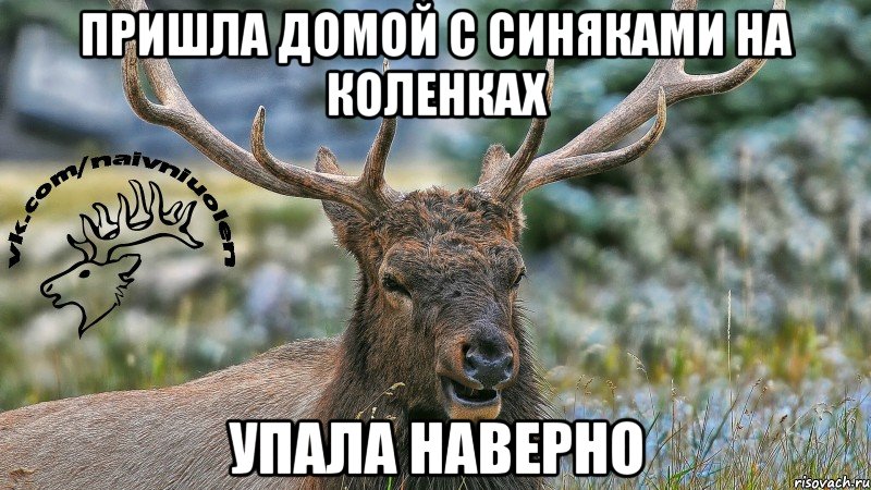 Пришла домой с синяками на коленках Упала наверно