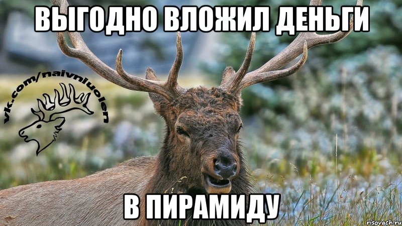 Выгодно вложил деньги В пирамиду