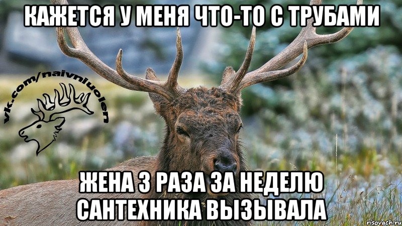 Кажется у меня что-то с трубами Жена 3 раза за неделю сантехника вызывала