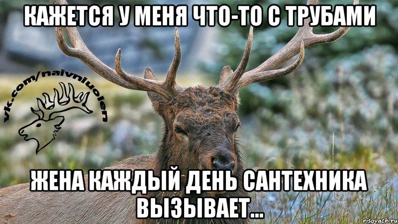 Кажется у меня что-то с трубами Жена каждый день сантехника вызывает...